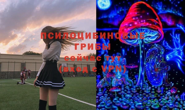прущий лед Армянск