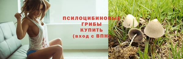 прущий лед Армянск